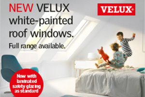 Velux Windows 