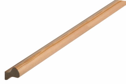 Pigsear Wall Handrail